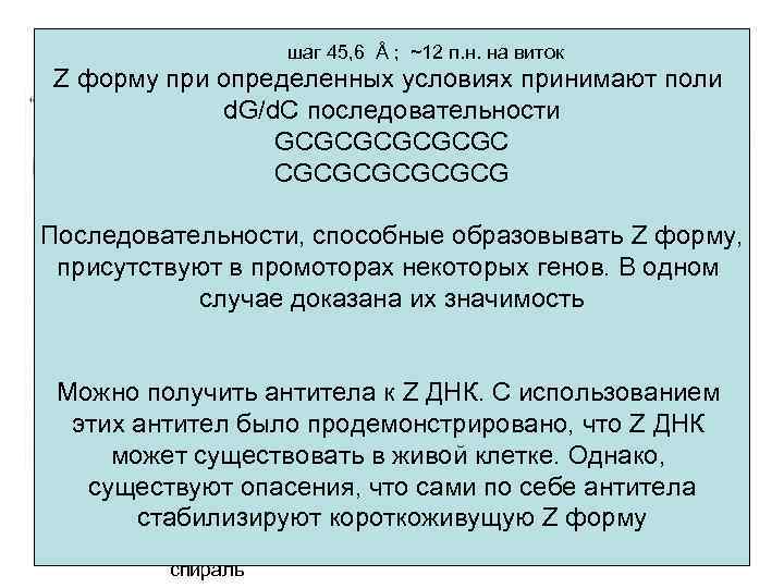 Z форма шаг 45, 6 Å ; ~12 п. н. на виток Z форму