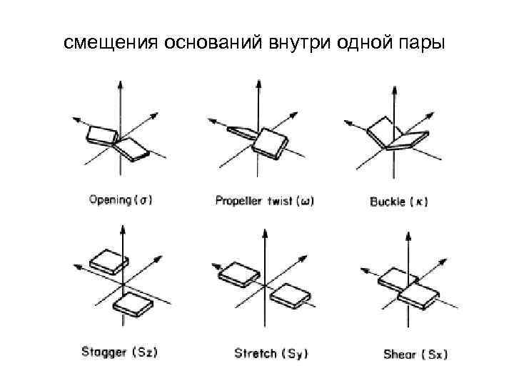 смещения оснований внутри одной пары 