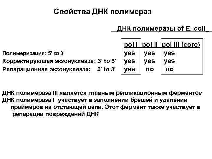 Свойства ДНК полимеразы of E. coli_ Полимеризация: 5’ to 3’ Корректирующая экзонуклеаза: 3’ to