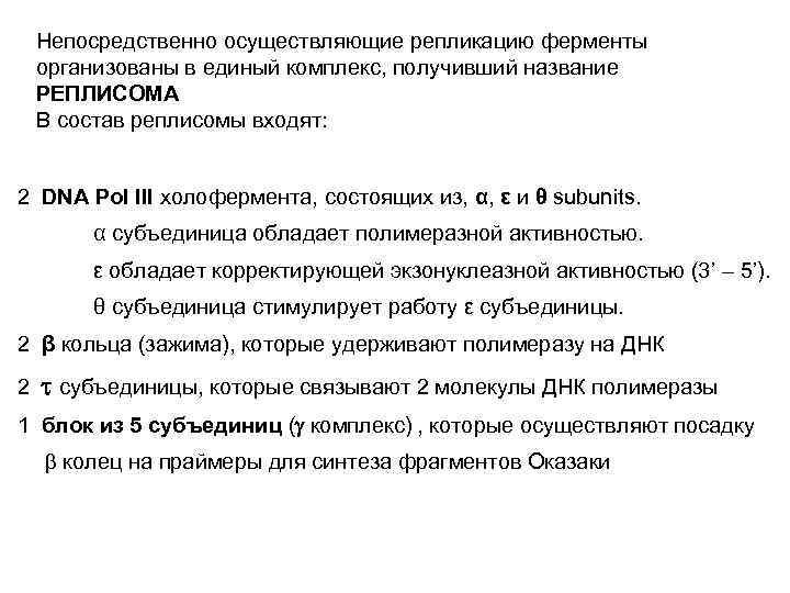 Непосредственно осуществляющие репликацию ферменты организованы в единый комплекс, получивший название РЕПЛИСОМА В состав реплисомы