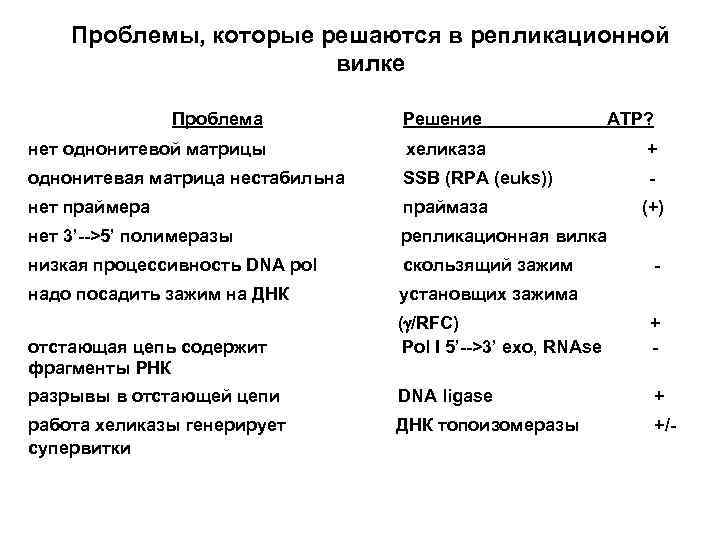 Проблемы, которые решаются в репликационной вилке Проблема Решение ATP? нет однонитевой матрицы хеликаза +