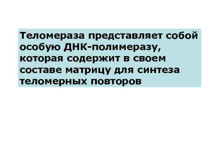 Теломераза представляет собой особую ДНК-полимеразу, которая содержит в своем составе матрицу для синтеза теломерных