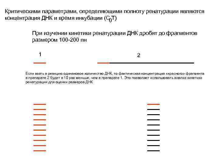 Критическими параметрами, определяющими полноту ренатурации являются концентрация ДНК и время инкубации (C T) 0