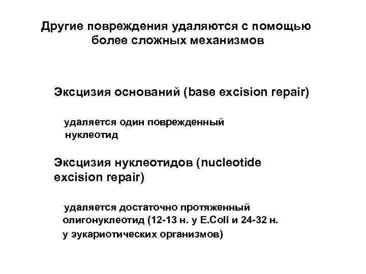 Другие повреждения удаляются с помощью более сложных механизмов Эксцизия оснований (base excision repair) удаляется