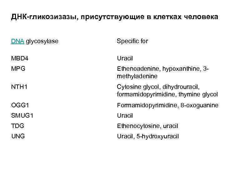 ДНК-гликозизазы, присутствующие в клетках человека DNA glycosylase Specific for MBD 4 Uracil MPG Ethenoadenine,