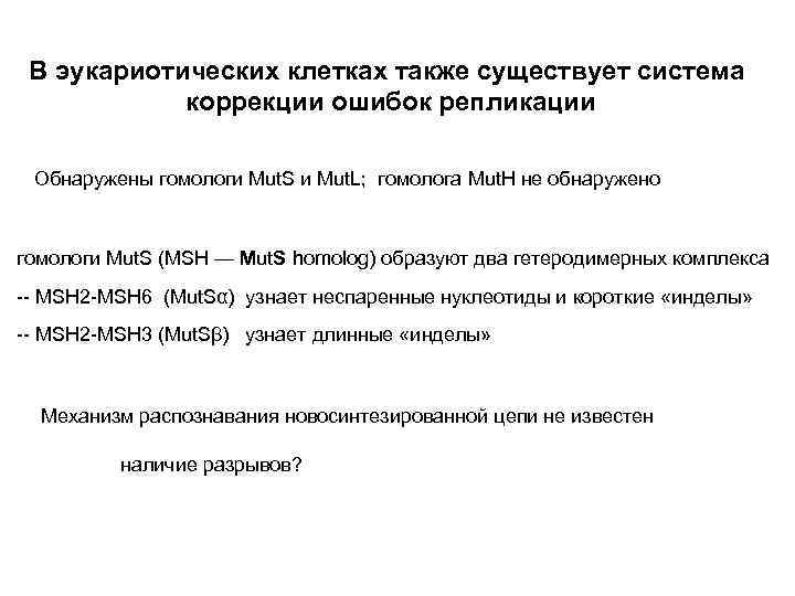 В эукариотических клетках также существует система коррекции ошибок репликации Обнаружены гомологи Mut. S и