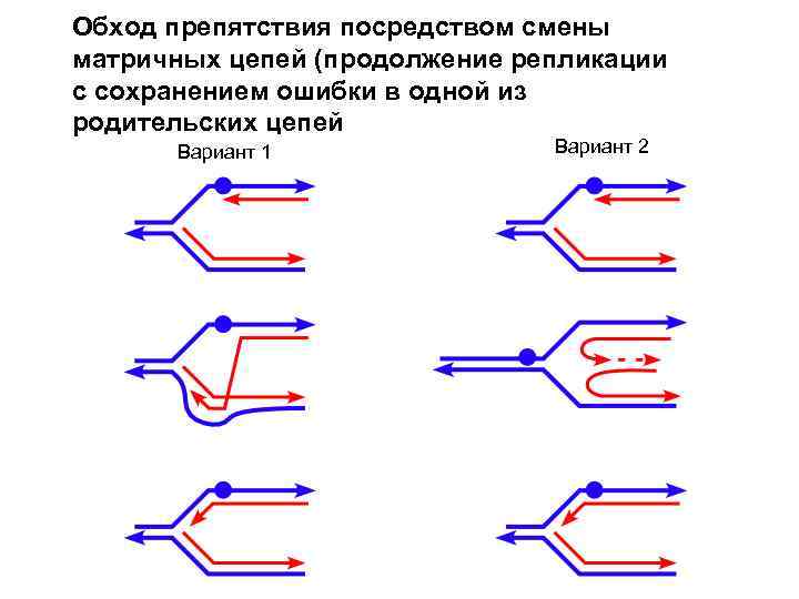 Обход препятствия посредством смены матричных цепей (продолжение репликации с сохранением ошибки в одной из