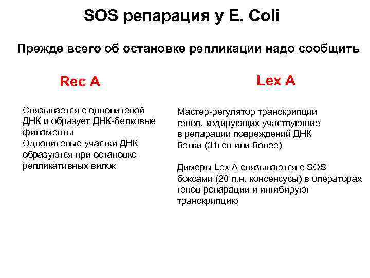 SOS репарация у Е. Сoli Прежде всего об остановке репликации надо сообщить Rec A