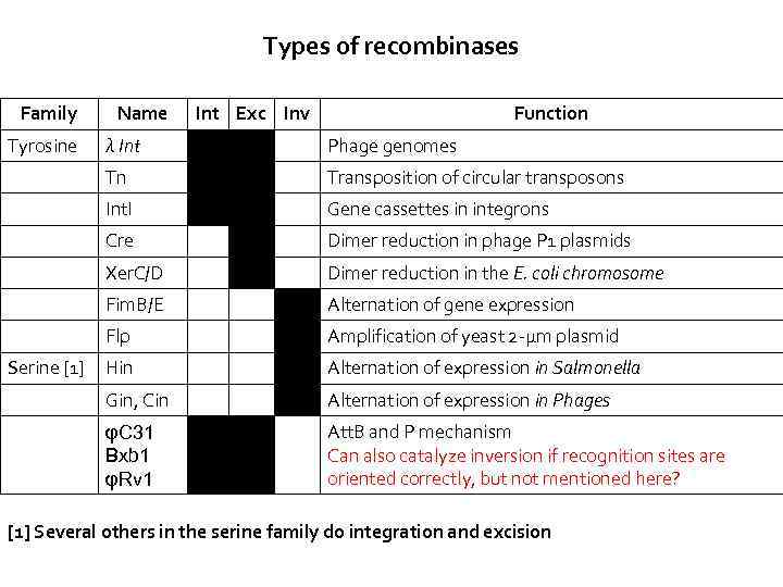 Types of recombinases Family Tyrosine Name Int Exc Inv Function Phage genomes Tn Transposition