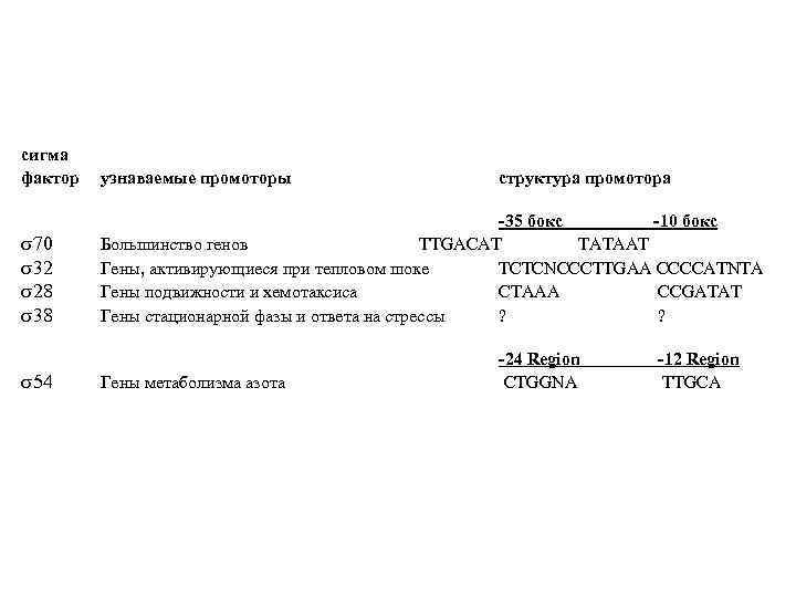 сигма фактор узнаваемые промоторы 70 32 28 38 -35 бокс -10 бокс Большинство генов
