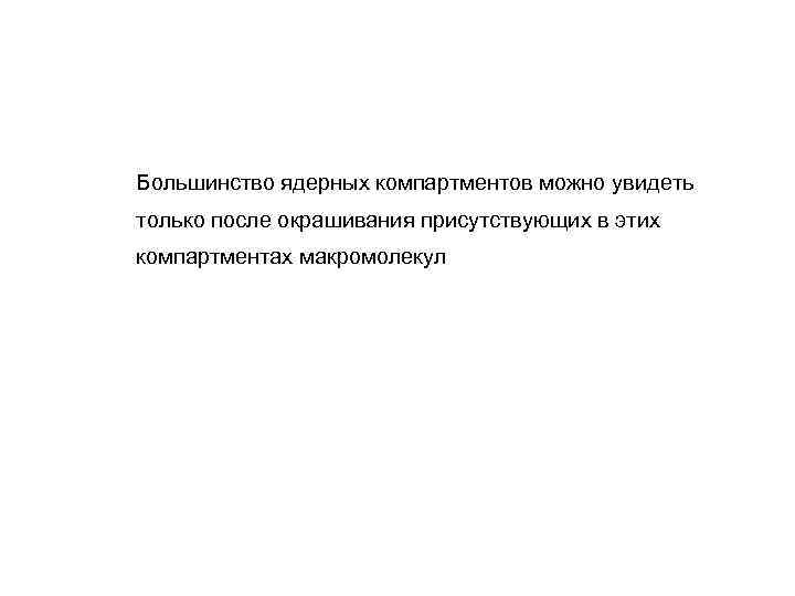 Большинство ядерных компартментов можно увидеть только после окрашивания присутствующих в этих компартментах макромолекул 