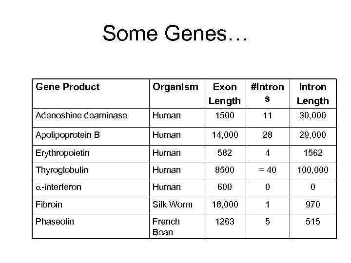 Some Genes… Gene Product Organism Exon Length #Intron s Intron Length Adenoshine deaminase Human