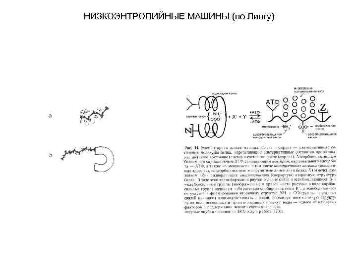 НИЗКОЭНТРОПИЙНЫЕ МАШИНЫ (по Лингу) 