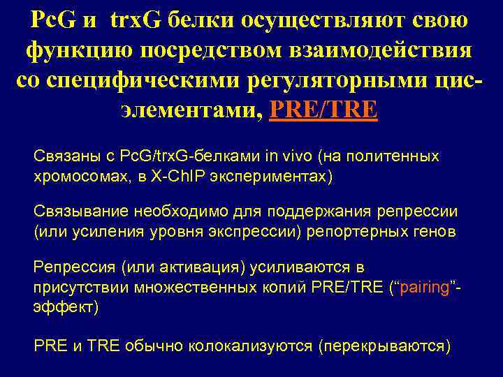 Pc. G и trx. G белки осуществляют свою функцию посредством взаимодействия со специфическими регуляторными