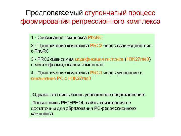 Предполагаемый ступенчатый процесс формирования репрессионного комплекса 1 - Связывание комплекса Pho. RC 2 -