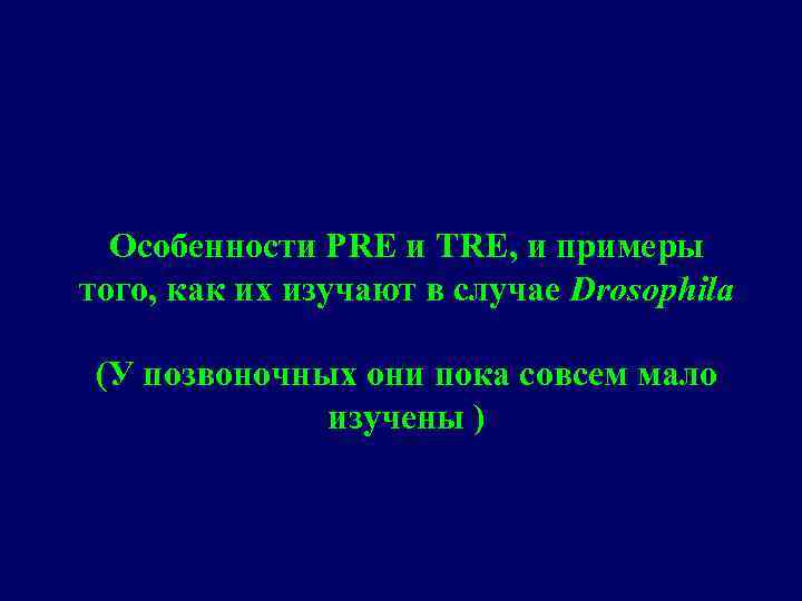 Особенности PRE и TRE, и примеры того, как их изучают в случае Drosophila (У