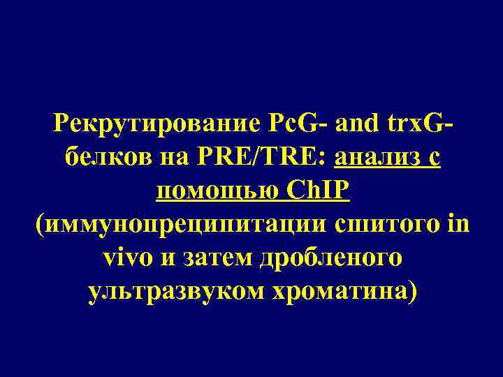 Рекрутирование Pc. G- and trx. Gбелков на PRE/TRE: анализ с помощью Ch. IP (иммунопреципитации