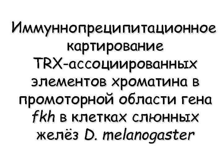 Иммуннопреципитационное картирование TRX-ассоциированных элементов хроматина в промоторной области гена fkh в клетках слюнных желёз