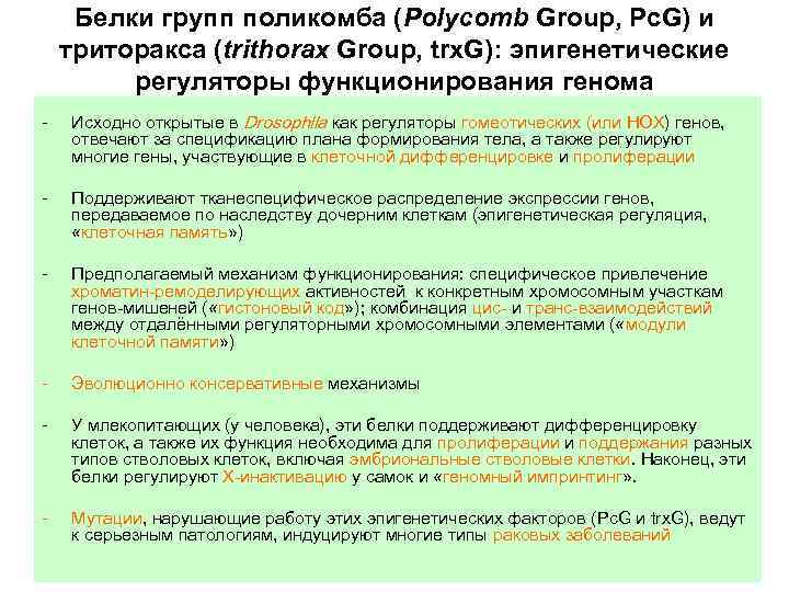 Белки групп поликомба (Polycomb Group, Pc. G) и триторакса (trithorax Group, trx. G): эпигенетические