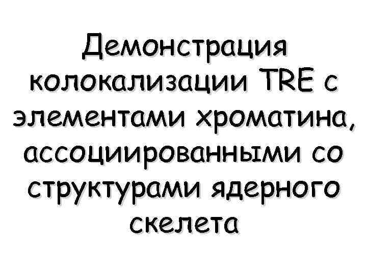 Демонстрация колокализации TRE c элементами хроматина, ассоциированными со структурами ядерного скелета 