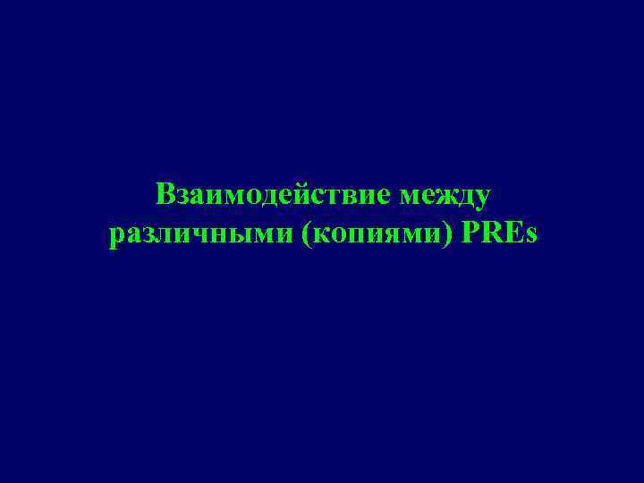 Взаимодействие между различными (копиями) PREs 