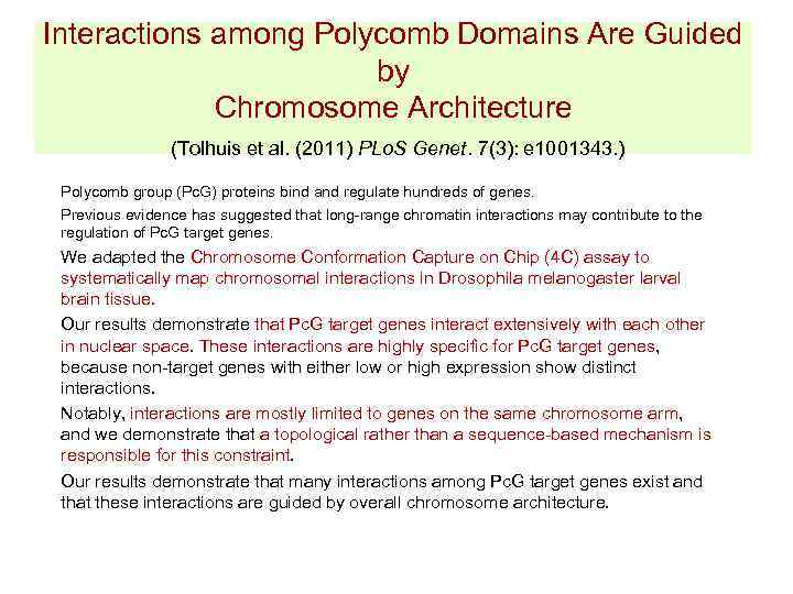 Interactions among Polycomb Domains Are Guided by Chromosome Architecture (Tolhuis et al. (2011) PLo.