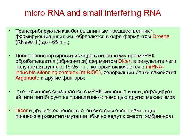 micro RNA and small interfering RNA • Транскрибируются как более длинные предшественники, формирующие шпильки;