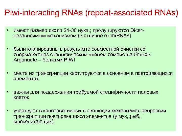 Piwi-interacting RNAs (repeat-associated RNAs) • имеют размер около 24 -30 нукл. ; продуцируются Dicerнезависимым