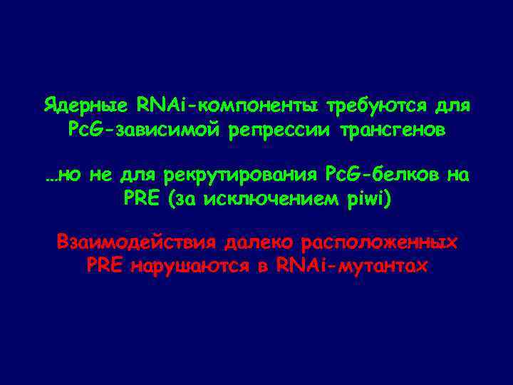Ядерные RNAi-компоненты требуются для Pc. G-зависимой репрессии трансгенов …но не для рекрутирования Pc. G-белков