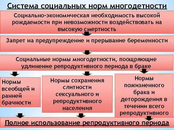 Система социальных норм многодетности Социально-экономическая необходимость высокой рождаемости при невозможности воздействовать на высокую смертность