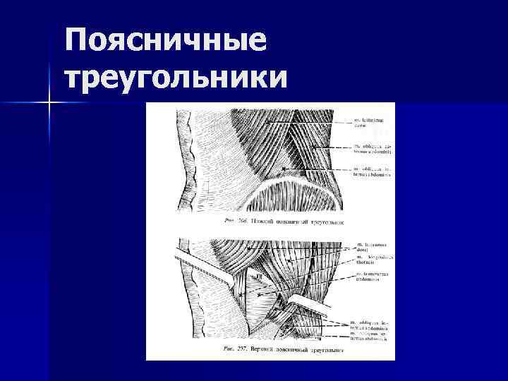 Грыжи живота госпитальная хирургия презентация