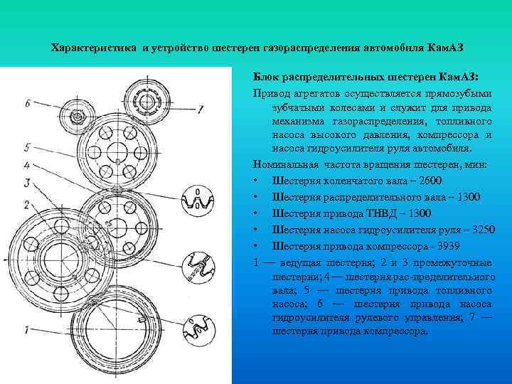 Характеристика и устройство шестерен газораспределения автомобиля Кам. АЗ Блок распределительных шестерен Кам. АЗ: Привод