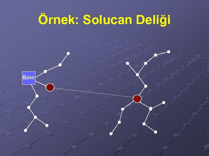 Örnek: Solucan Deliği Base 