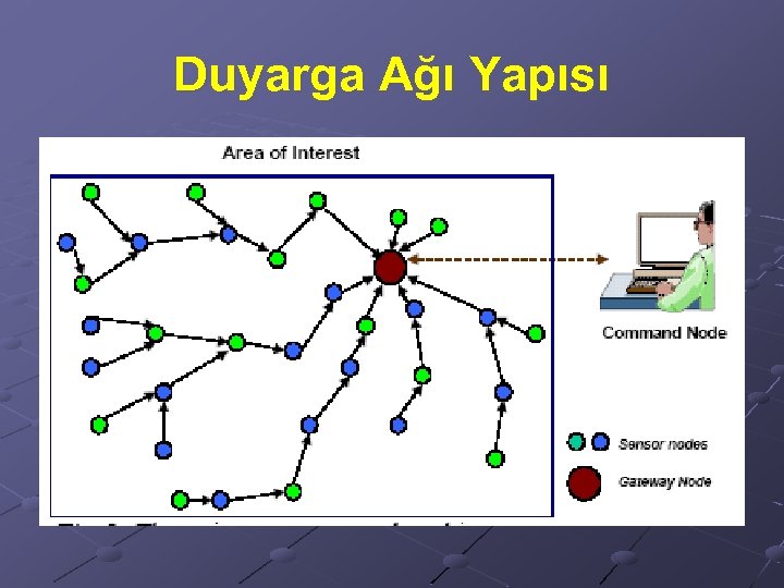 Duyarga Ağı Yapısı 