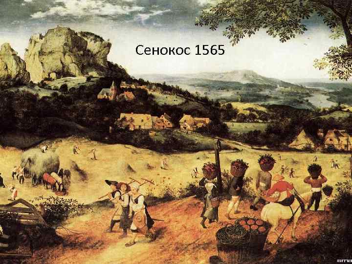 Сенокос 1565 