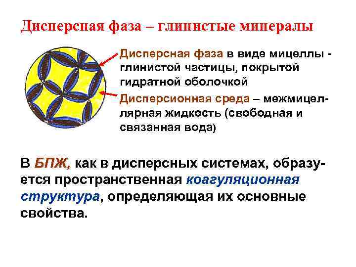 Дисперсная фаза – глинистые минералы Дисперсная фаза в виде мицеллы - глинистой частицы, покрытой