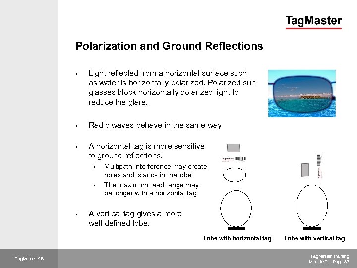 Polarization and Ground Reflections § § § Light reflected from a horizontal surface such