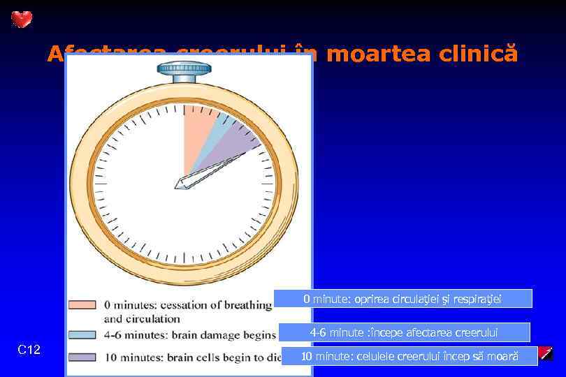 Afectarea creerului în moartea clinică 0 minute: oprirea circulaţiei şi respiraţiei 4 -6 minute