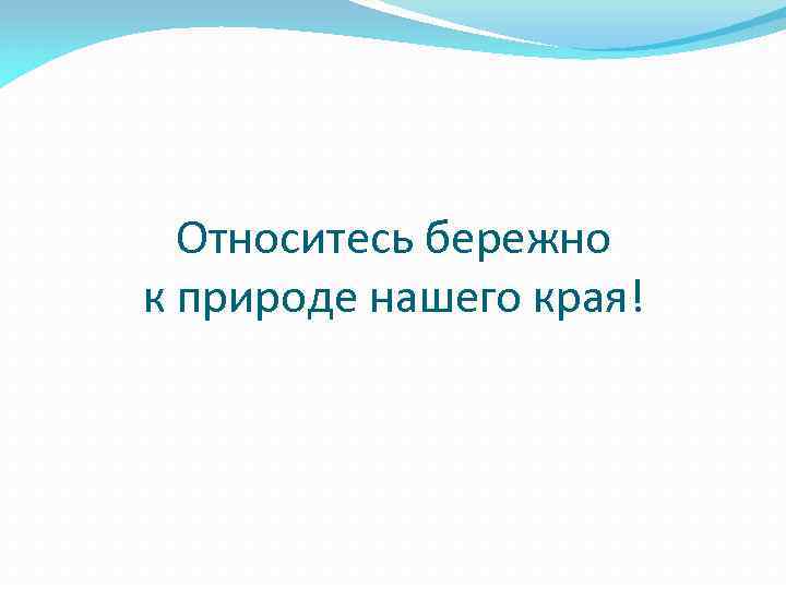 Относитесь бережно к природе нашего края! 