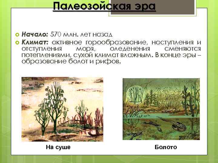 Палеозойская эра Начало: 570 млн. лет назад Климат: активное горообразование, наступления и отступления моря,