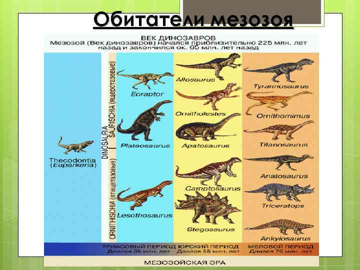 Обитатели мезозоя 