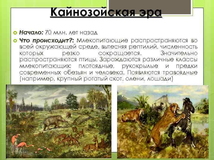 Кайнозойская эра Начало: 70 млн. лет назад Что происходит? : Млекопитающие распространяются во всей