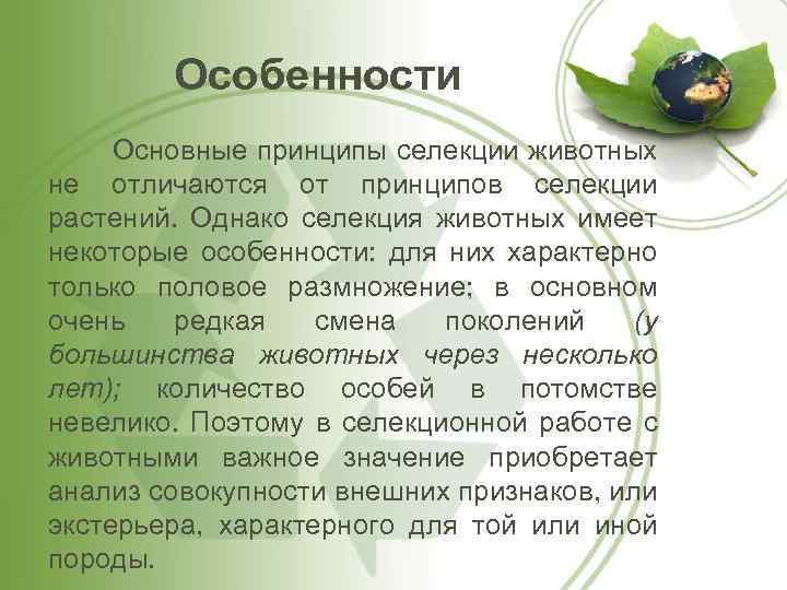 Особенности Основные принципы селекции животных не отличаются от принципов селекции растений. Однако селекция животных