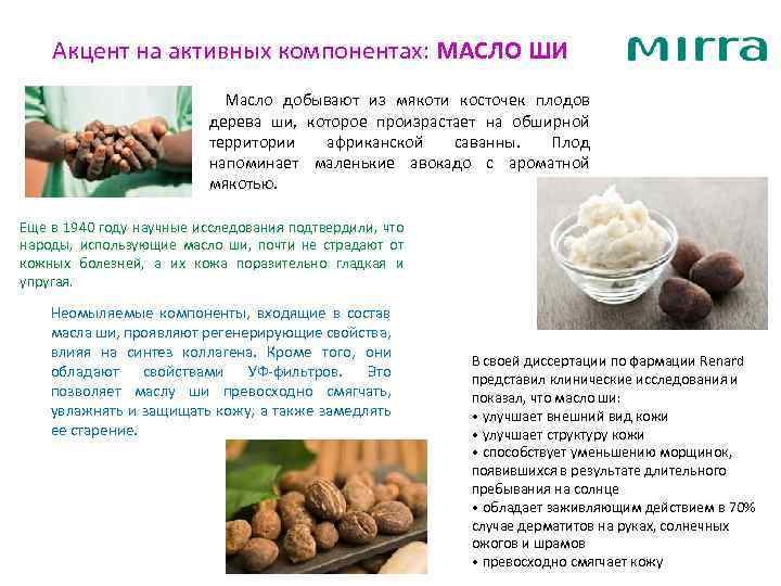 Акцент на активных компонентах: МАСЛО ШИ Масло добывают из мякоти косточек плодов дерева ши,