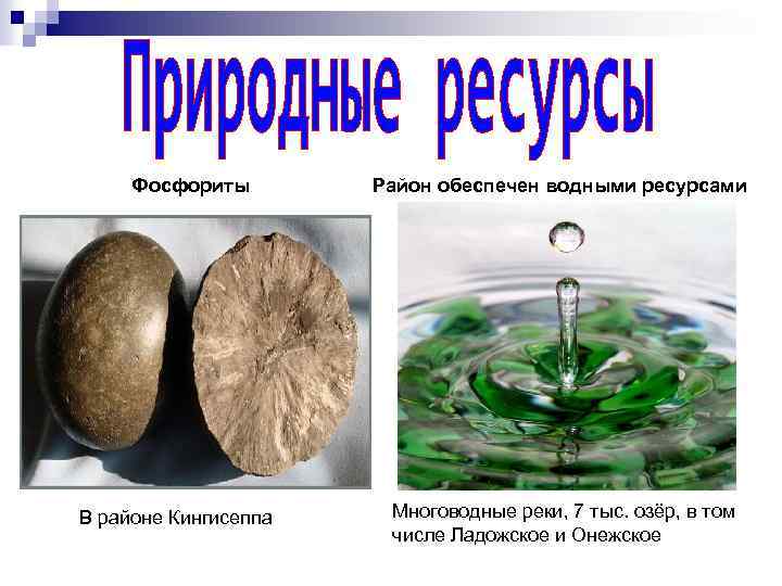 Фосфориты В районе Кингисеппа Район обеспечен водными ресурсами Многоводные реки, 7 тыс. озёр, в