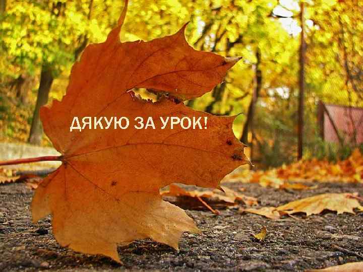 ДЯКУЮ ЗА УРОК! 