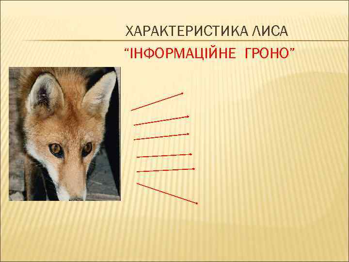 ХАРАКТЕРИСТИКА ЛИСА “ІНФОРМАЦІЙНЕ ГРОНО” 