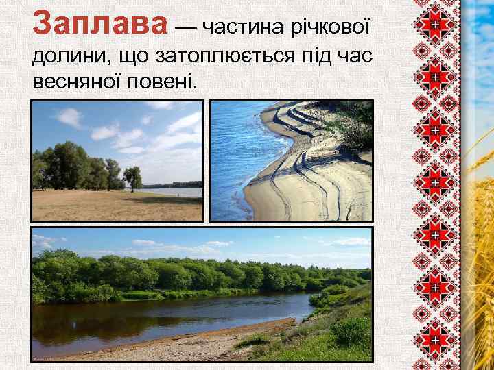 Заплава — частина річкової долини, що затоплюється під час весняної повені. 