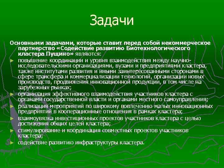 Задачи Основными задачами, которые ставит перед собой некоммерческое партнерство «Содействие развитию Биотехнологического кластера Пущино»