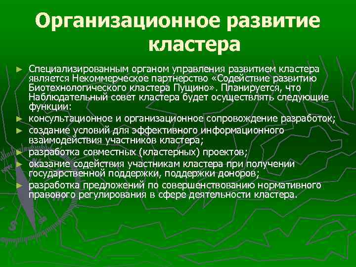 Организационное развитие кластера ► ► ► Специализированным органом управления развитием кластера является Некоммерческое партнерство